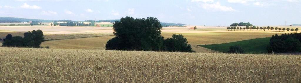 landschaft modexen 1407